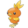 Torchic.png