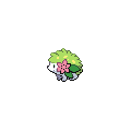 492BW.gif