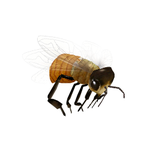 Bugs vs. Tanks! Neoseeker