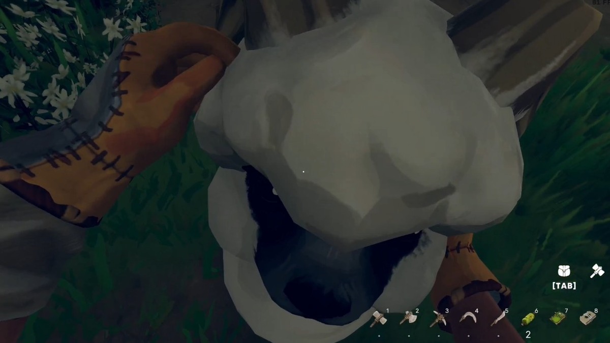 Aloft Animal Husbandry Guide - Neoseeker