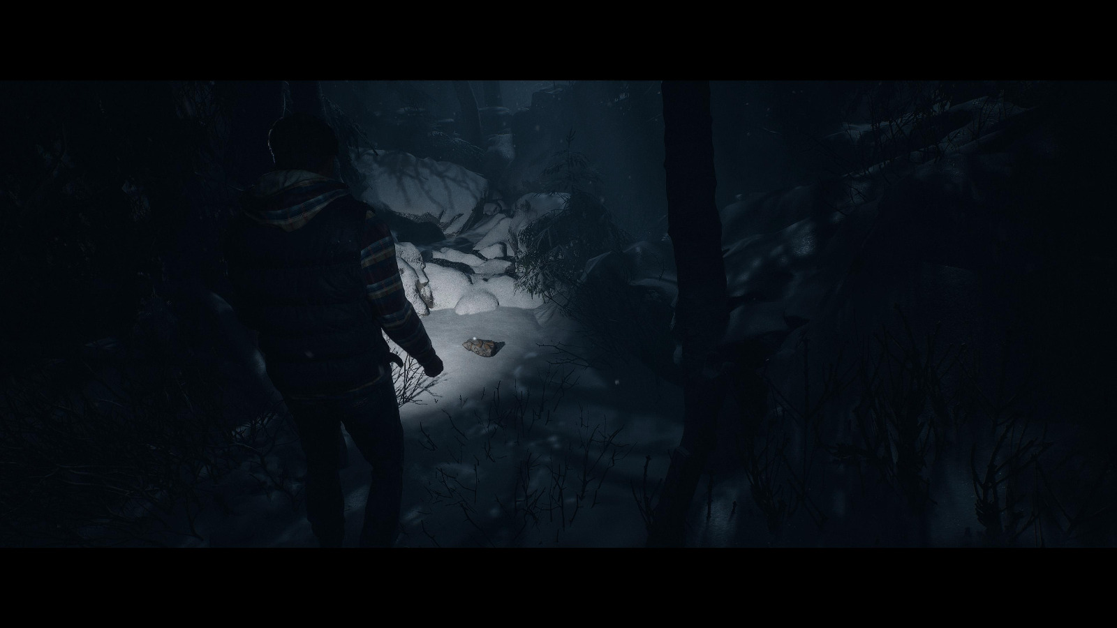 Until Dawn → Until Dawn(2024)|後発版側|ゲーム画面例(資料画像 6)