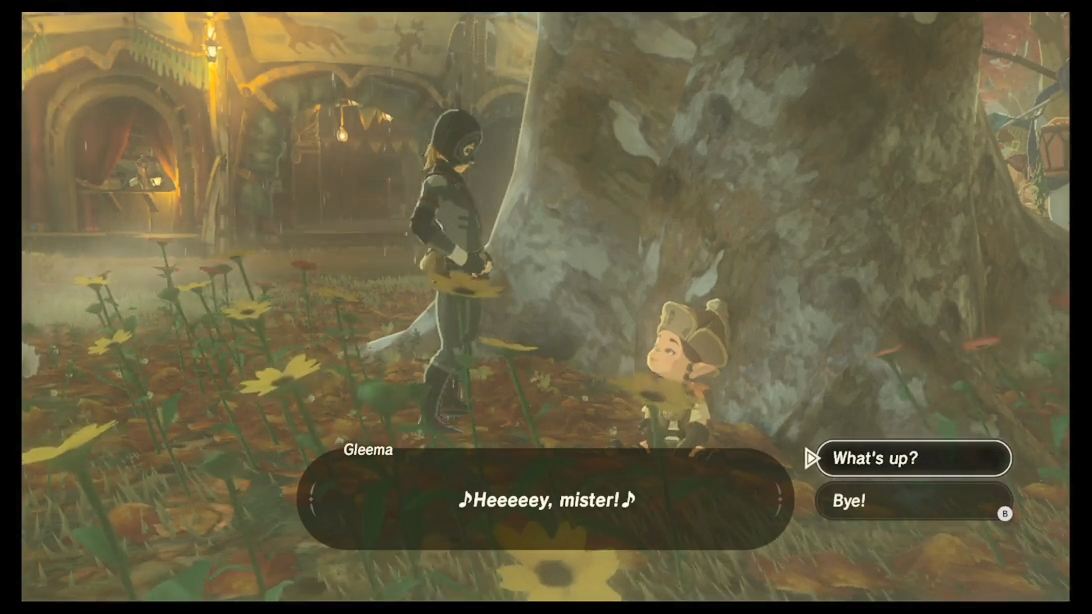 Breath Of The Wild Electric Darner