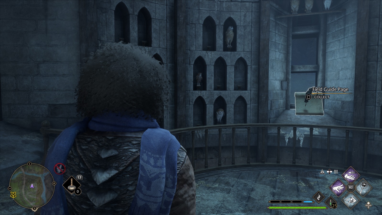 Field Guide Pages Hogwarts The Bell Tower Wing Hogwarts Legacy