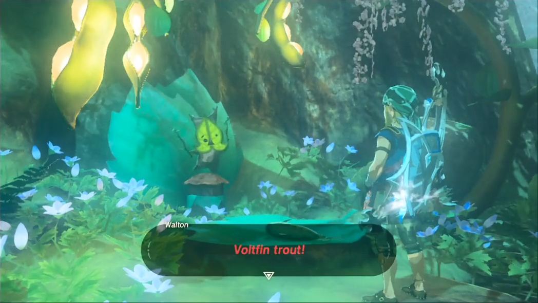 Hebra and Woodland Sidequests The Legend of Zelda Breath of the Wild