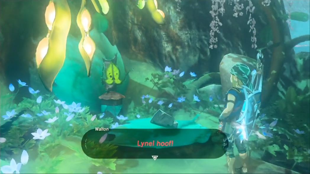 Hebra and Woodland Sidequests The Legend of Zelda Breath of the Wild