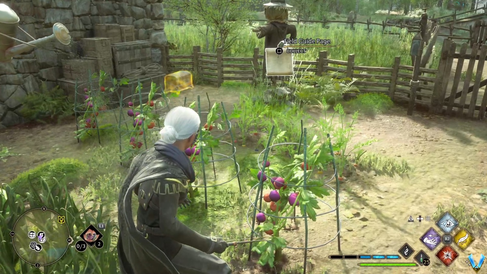 Hogwarts Legacy All Field Guide Pages The Highlands Locations Guide