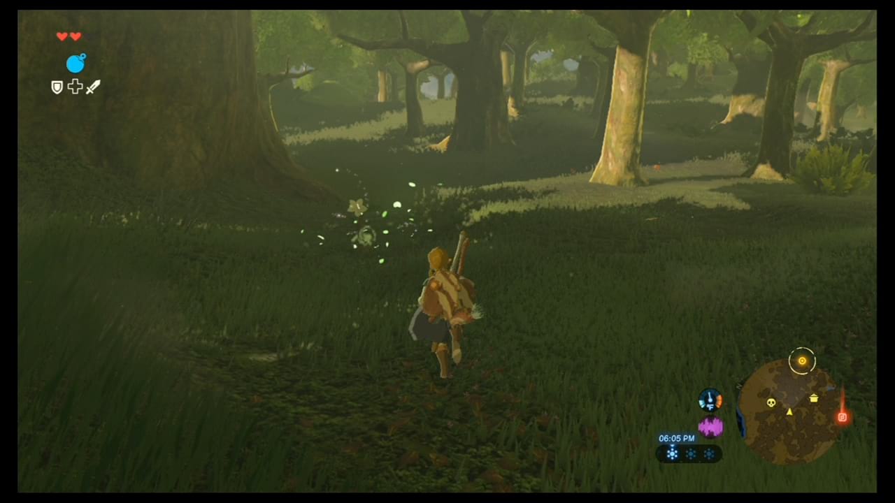 Korok Seeds Overview The Legend of Zelda Breath of the Wild