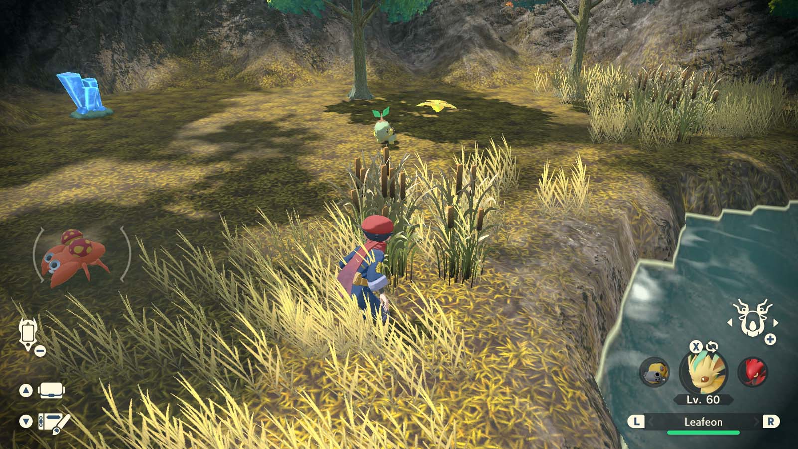 The Pokemon in the River Photo Request Guide Pokémon Legends Arceus Neoseeker