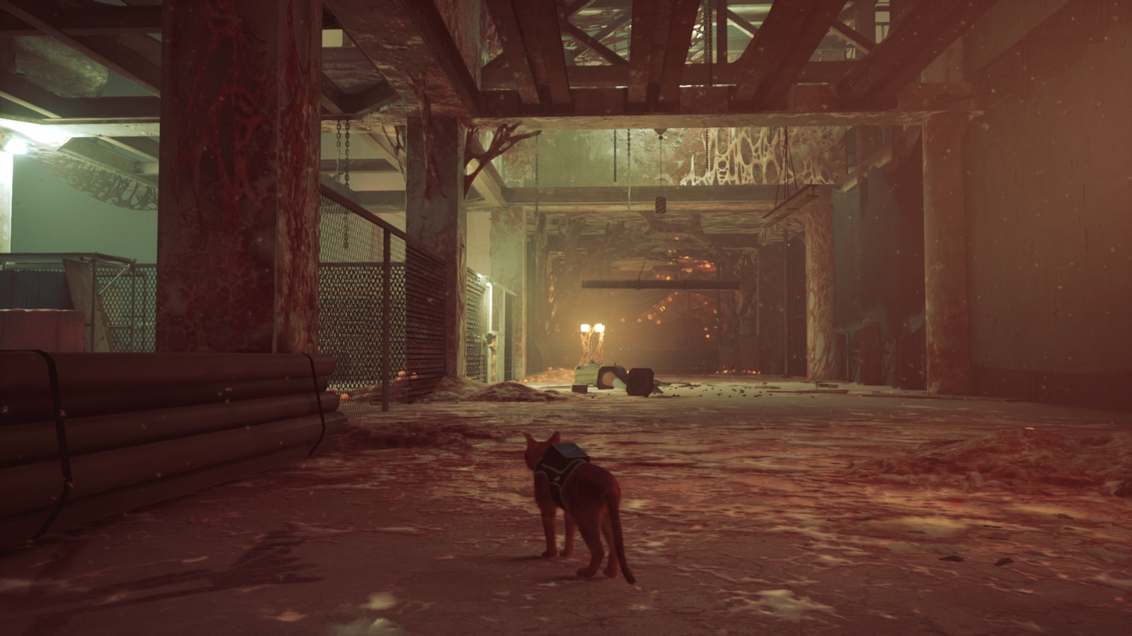 Rooftops Stray (2022) Walkthrough and Guide Neoseeker