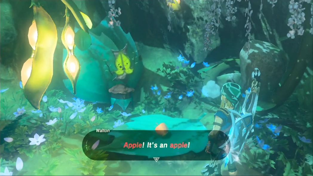 Hebra and Woodland Sidequests The Legend of Zelda Breath of the Wild