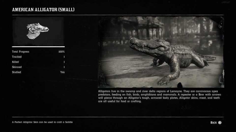 Hunting Page 1 - Red Dead Redemption 2 Walkthrough - Neoseeker