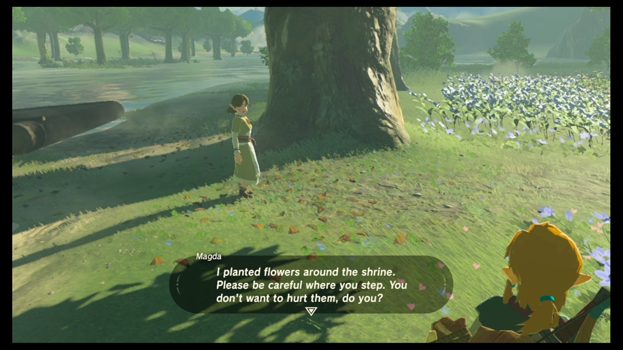 Dueling Peaks Shrines and Shrine Quests - The Legend of Zelda: Breath ...