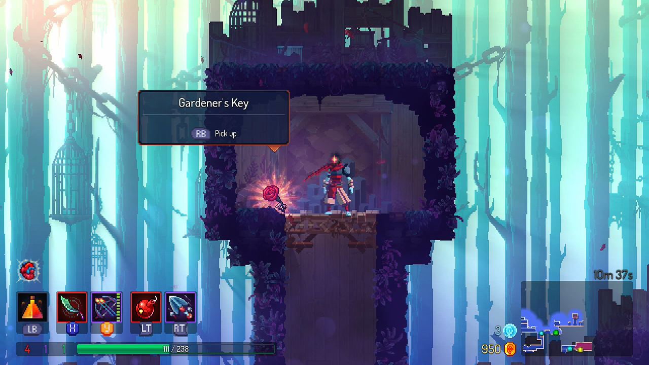 Dead cells promenade of the condemned фон профиля