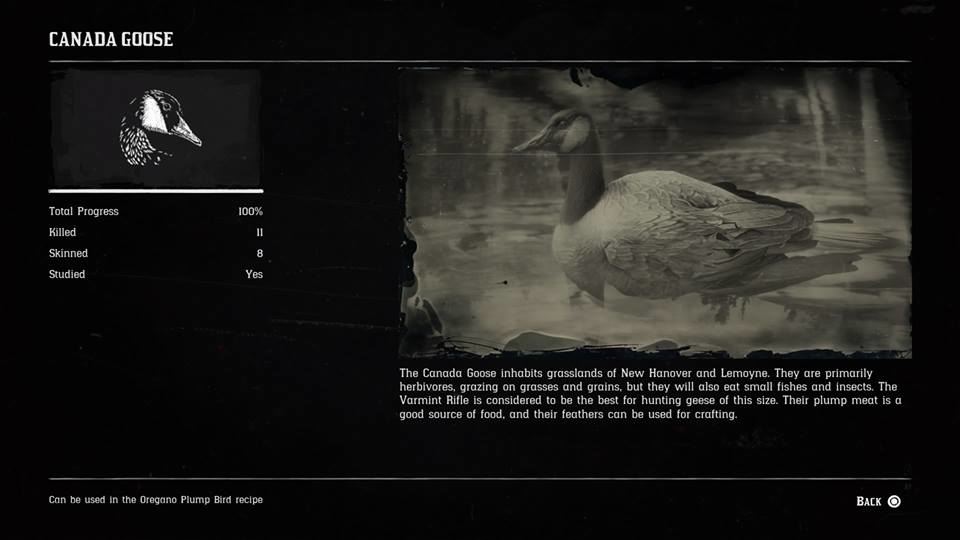 Hunting Page 5 - Red Dead Redemption 2 Walkthrough - Neoseeker