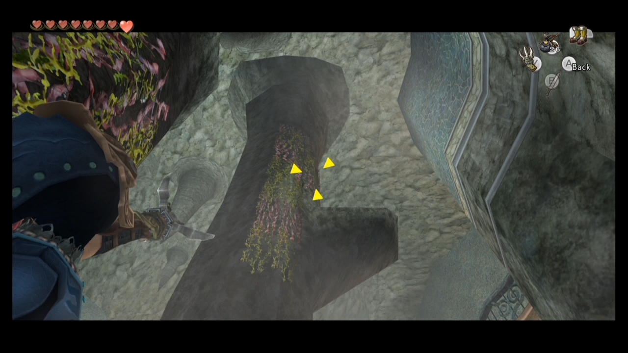 9 The Lakebed Temple The Legend of Zelda Twilight Princess HD Walkthrough Neoseeker