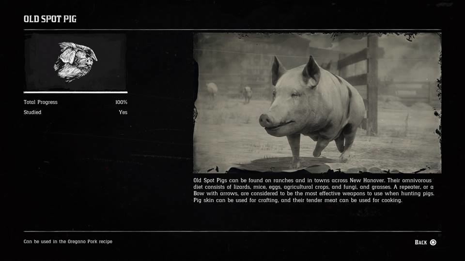 Hunting Page 7 - Red Dead Redemption 2 Walkthrough - Neoseeker