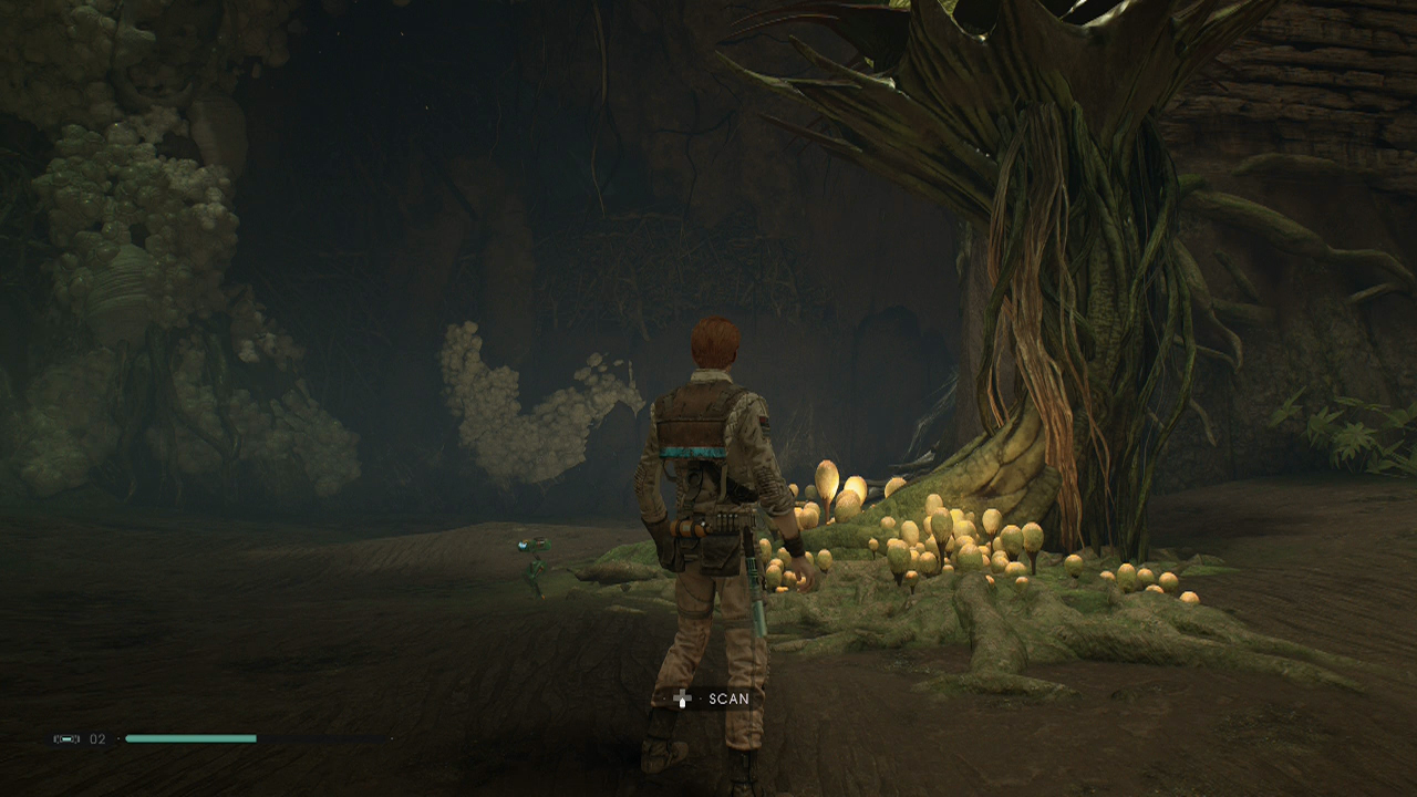 Kashyyyk Climb the Origin Tree Star Wars Jedi Fallen Order