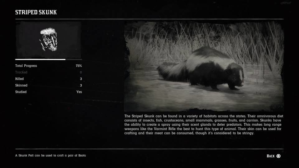 Skunk Rdr2 Hunting Page 9 - Red Dead Redemption 2 Walkthrough - Neoseeker