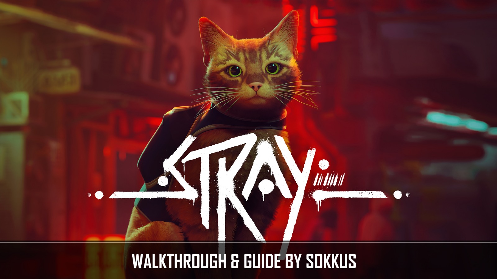 Stray Guide Stray (2022) Walkthrough and Guide - Neoseeker