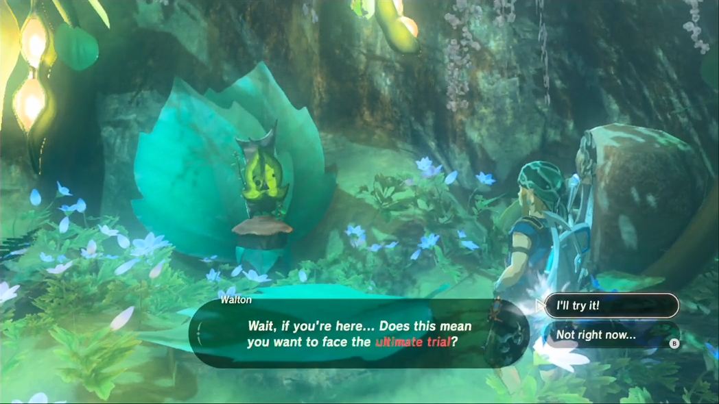 Hebra and Woodland Sidequests The Legend of Zelda Breath of the Wild