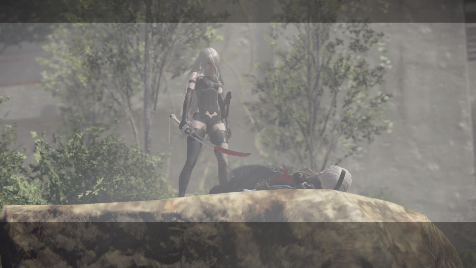 Nier automata задание фотографии