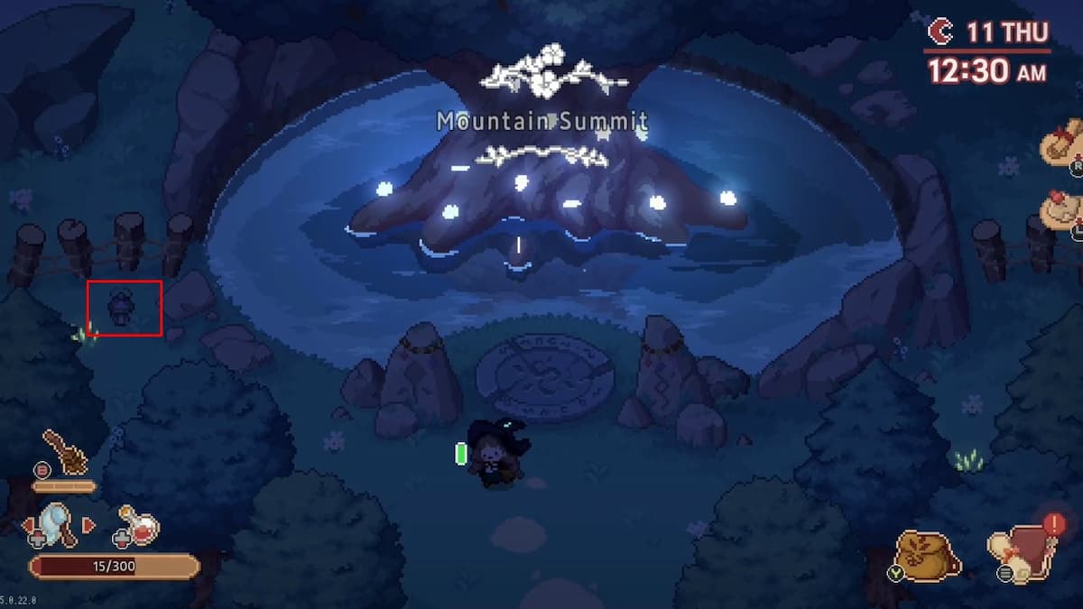 Little Witch in the Woods All Side Quests Guide - Neoseeker