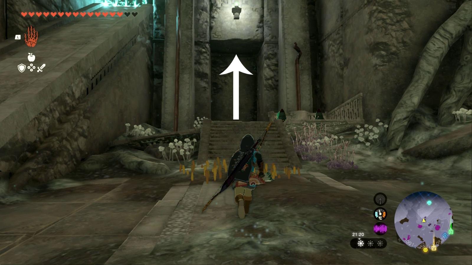 Zelda Ramp Guidance from Ages Past - The Legend of Zelda: Tears of the Kingdom ...