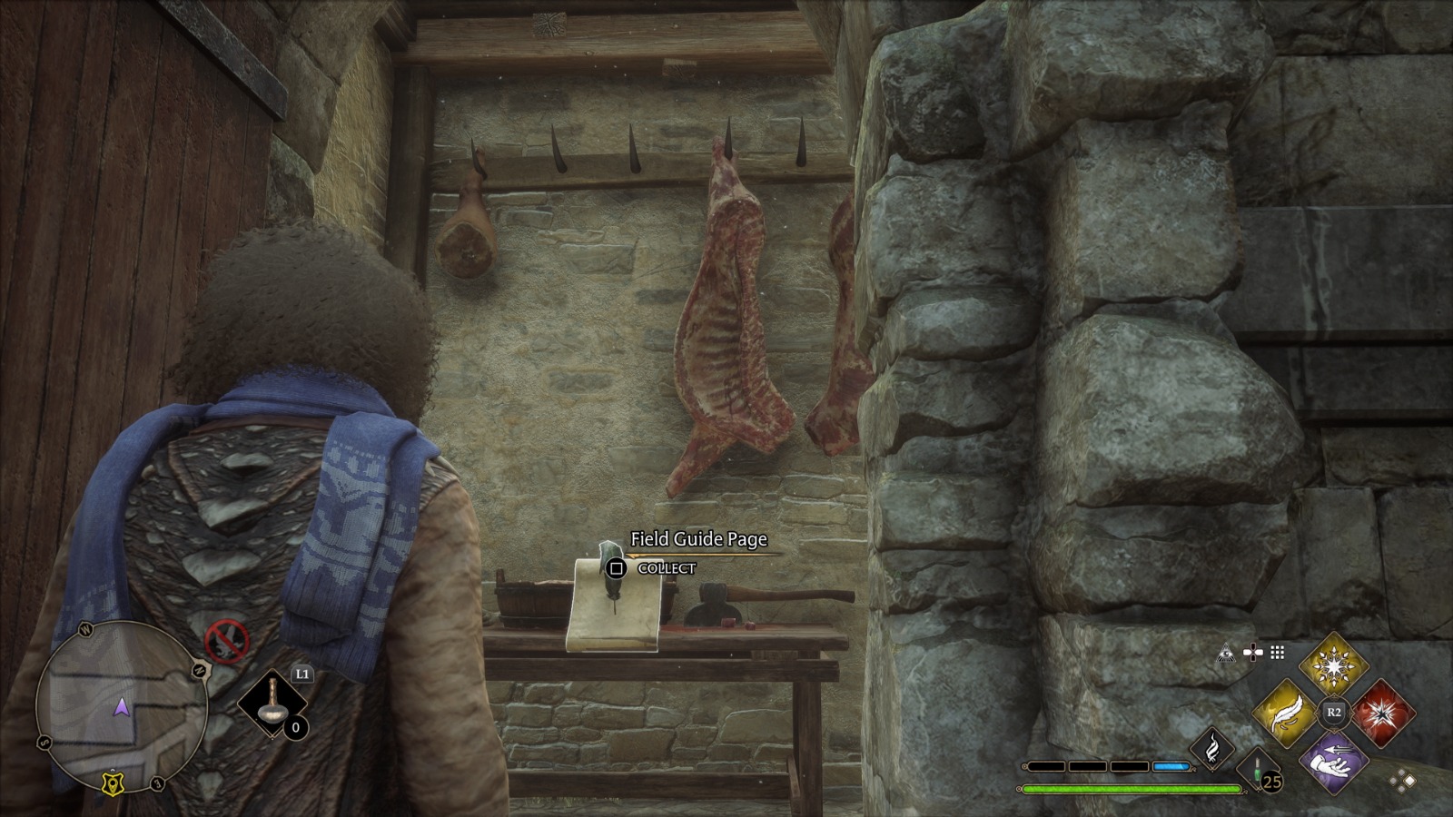 Field Guide Pages Hogwarts The Bell Tower Wing Hogwarts Legacy