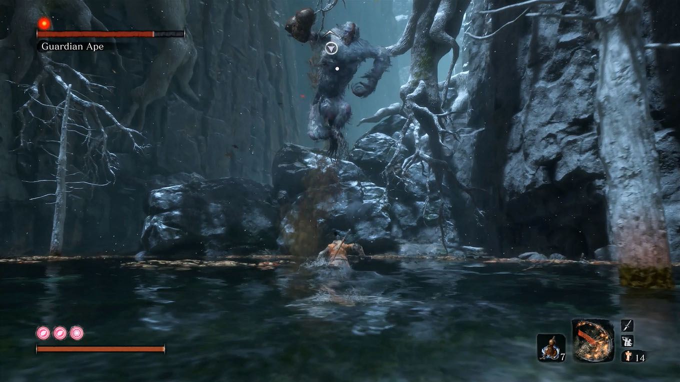 Sekiro sunken valley passage
