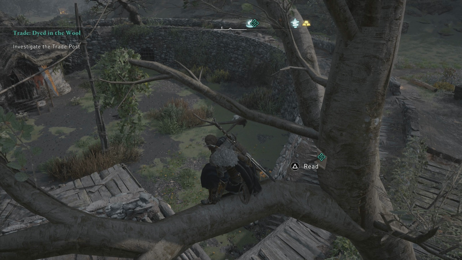 Dyed in the Wool Assassin's Creed Valhalla Walkthrough Neoseeker