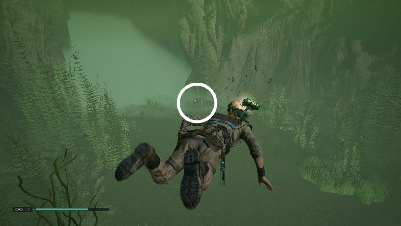 Kashyyyk Climb the Origin Tree Star Wars Jedi Fallen Order