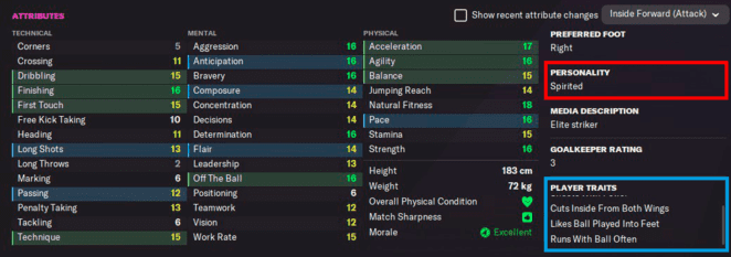 Football Manager Player Attributes & Hidden Attributes Explained •