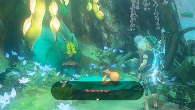 Hebra And Woodland Sidequests The Legend Of Zelda Breath Of The