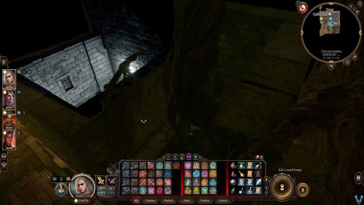 Baldur's Gate 3 - Avenge the Hag Survivors Walkthrough - Neoseeker
