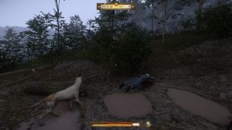 Kingdom Come Deliverance A Woman S Lot Walkthrough Guide Neoseeker