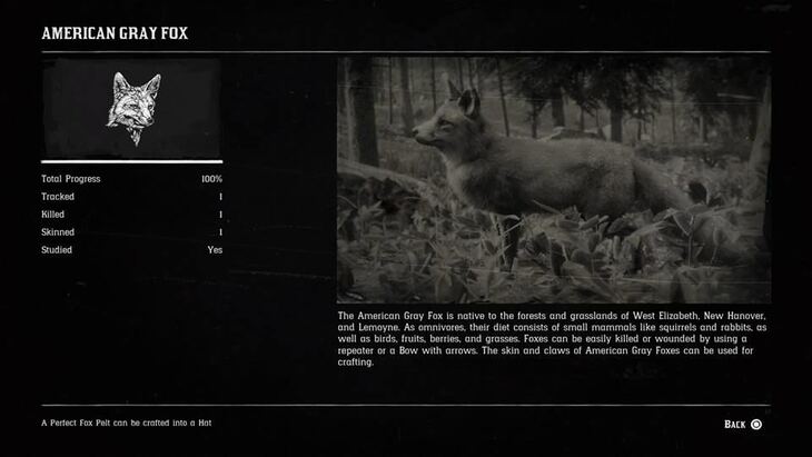 Hunting Page 5 - Red Dead Redemption 2 Walkthrough - Neoseeker