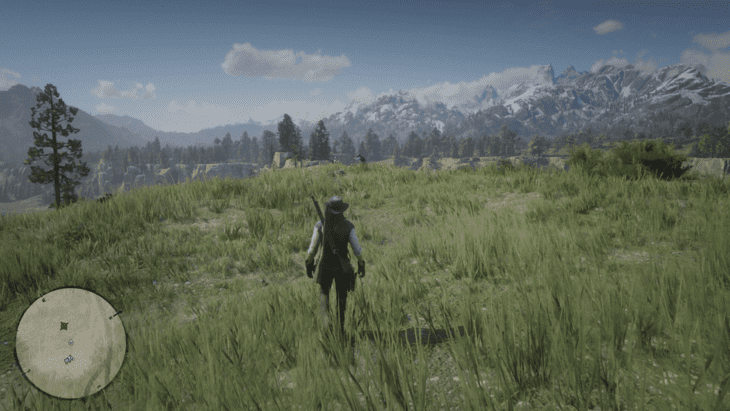 Arcadia for Amateurs Walkthrough - Red Dead Redemption 2 - Neoseeker
