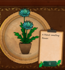 Strange Horticulture | Plant & Mushroom Catalogue - Neoseeker