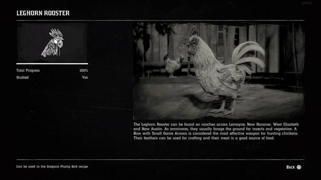 Hunting Page 2 - Red Dead Redemption 2 Walkthrough - Neoseeker