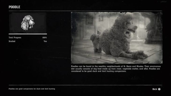 Hunting Page 4 - Red Dead Redemption 2 Walkthrough - Neoseeker