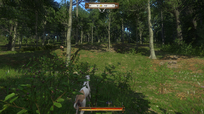 Kingdom Come Deliverance A Woman S Lot Walkthrough Guide Neoseeker