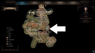 Baldur&rsquo;s Gate 3 - Feed the Mind Flayer Walkthrough - Neoseeker