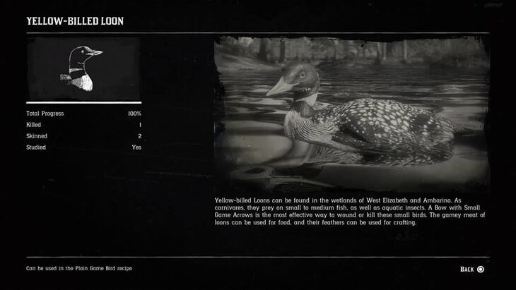 Hunting Page 6 - Red Dead Redemption 2 Walkthrough - Neoseeker