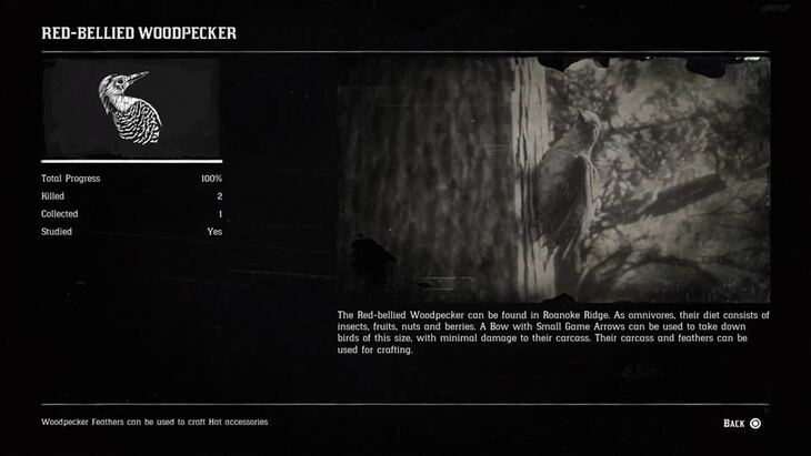 Hunting Page 11 - Red Dead Redemption 2 Walkthrough - Neoseeker