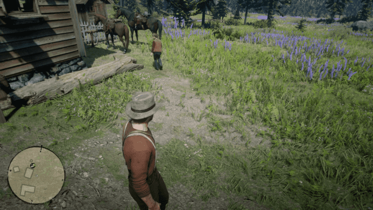 Epilogue 1-4: Fatherhood, for Beginners Walkthrough - Red Dead ...