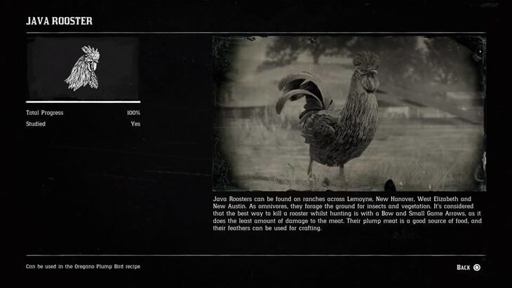 Hunting Page 2 - Red Dead Redemption 2 Walkthrough - Neoseeker