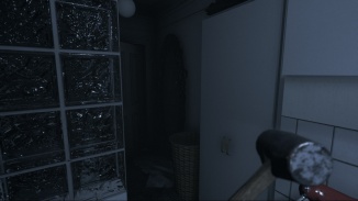 VIS - Dolores Capitulo 43.jpg