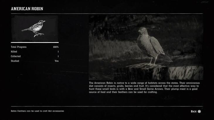 Hunting Page 9 - Red Dead Redemption 2 Walkthrough - Neoseeker