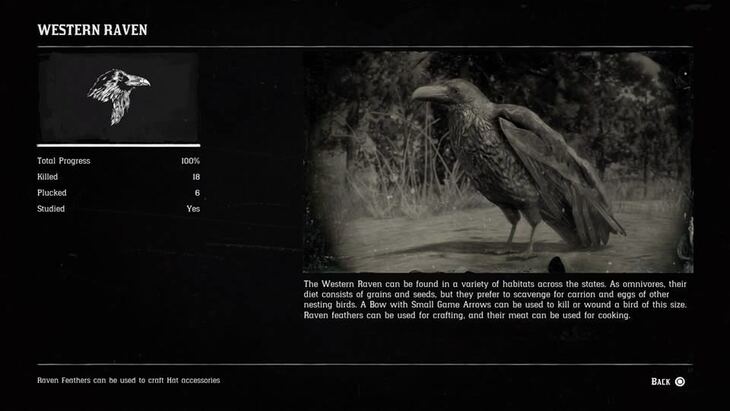 Hunting Page 9 - Red Dead Redemption 2 Walkthrough - Neoseeker