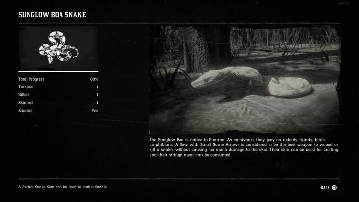 Hunting Page 9 - Red Dead Redemption 2 Walkthrough - Neoseeker